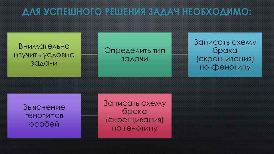 ДЛЯ УСПЕШНОГО РЕШЕНИЯ ЗАДАЧ НЕОБХОДИМО: Внимательно изучить условие задачи Определить тип задачи Выяснение генотипов