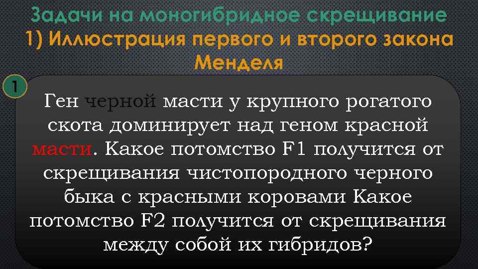 Задачи на моногибридное скрещивание 1) Иллюстрация первого и второго закона Менделя 1 Ген черной