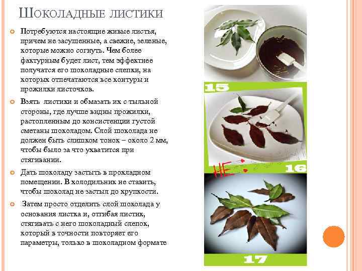 ШОКОЛАДНЫЕ ЛИСТИКИ Потребуются настоящие живые листья, причем не засушенные, а свежие, зеленые, которые можно