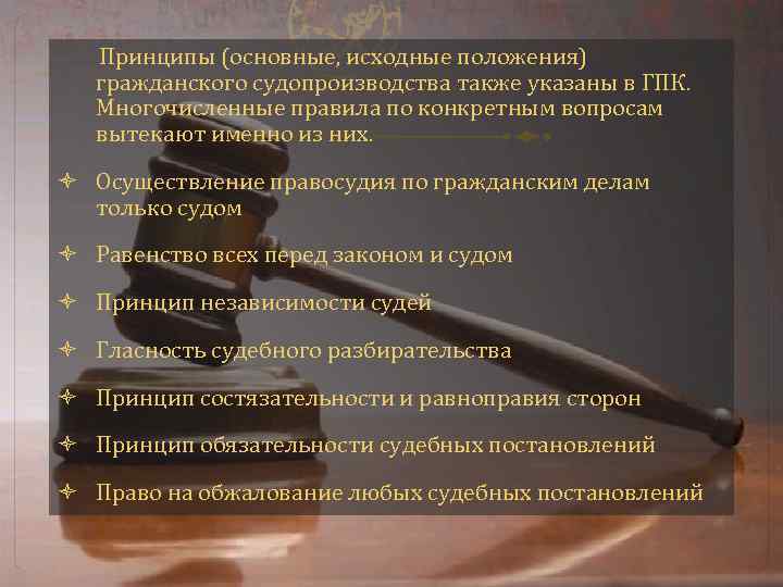 Принцип законности осуществление правосудия только судом. Основные исходные положения гражданского судопроизводства. Основные принципы гражданского судопроизводства. Принципы правосудия по гражданским делам. Назовите основные принципы гражданского процесса..