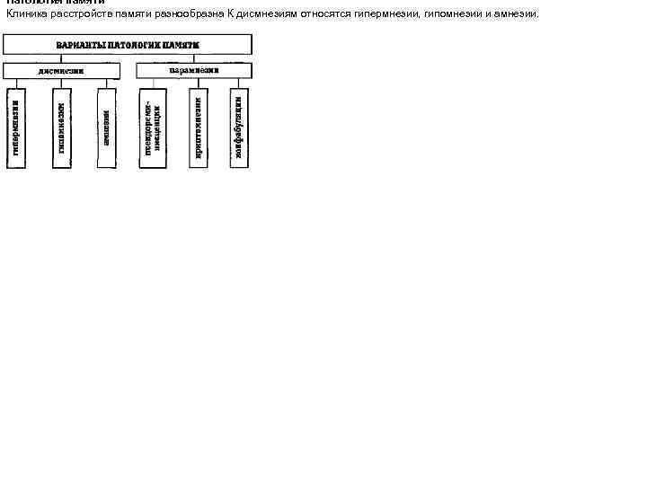 Патология памяти Клиника расстройств памяти разнообразна К дисмнезиям относятся гипермнезии, гипомнезии и амнезии. 