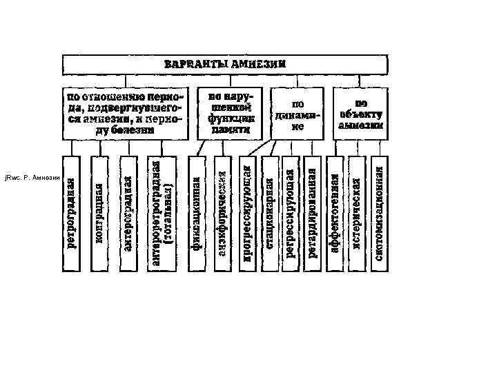 j. Rwc. P. Амнезии 