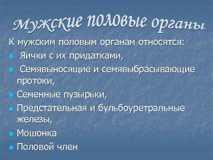 К мужским половым органам относятся: n Яички с их придатками, n Семявыносящие и семявыбрасывающие