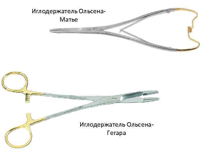 Иглодержатель Ольсена. Матье Иглодержатель Ольсена. Гегара 