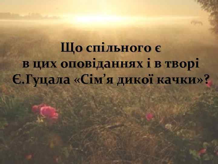 Що спільного є в цих оповіданнях і в творі Є. Гуцала «Сім’я дикої качки»