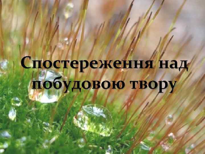 Спостереження над побудовою твору 