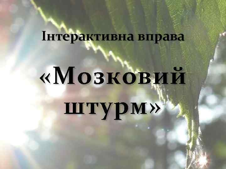 Інтерактивна вправа « Мозковий штурм» 