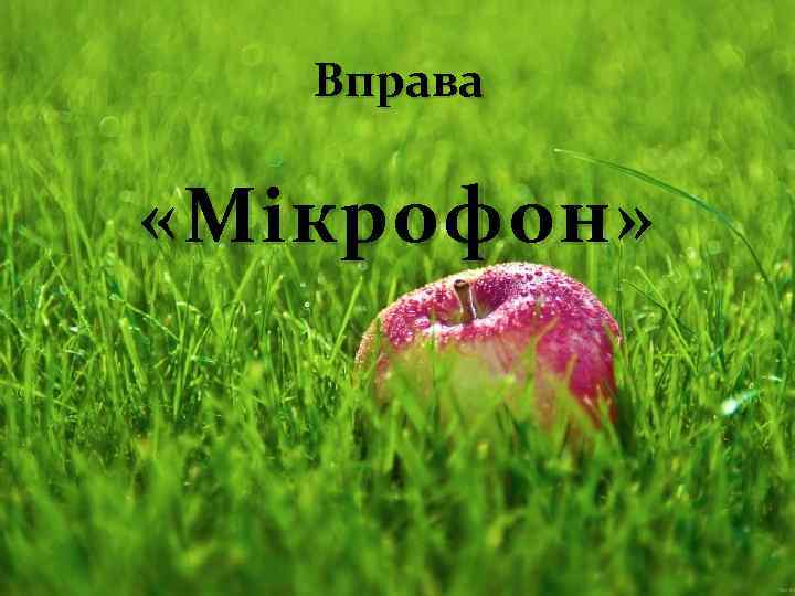 Вправа « Мікрофон » 