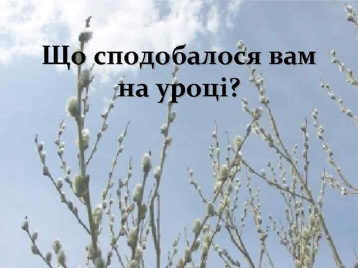 Що сподобалося вам на уроці? 