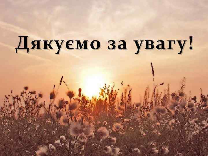 Дяку ємо за увагу! 