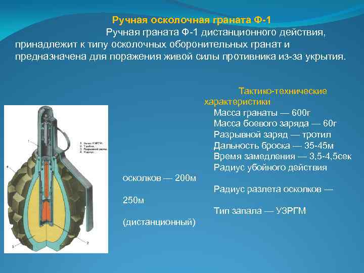 Ручная осколочная граната Ф-1 Ручная граната Ф-1 дистанционного действия, принадлежит к типу осколочных оборонительных