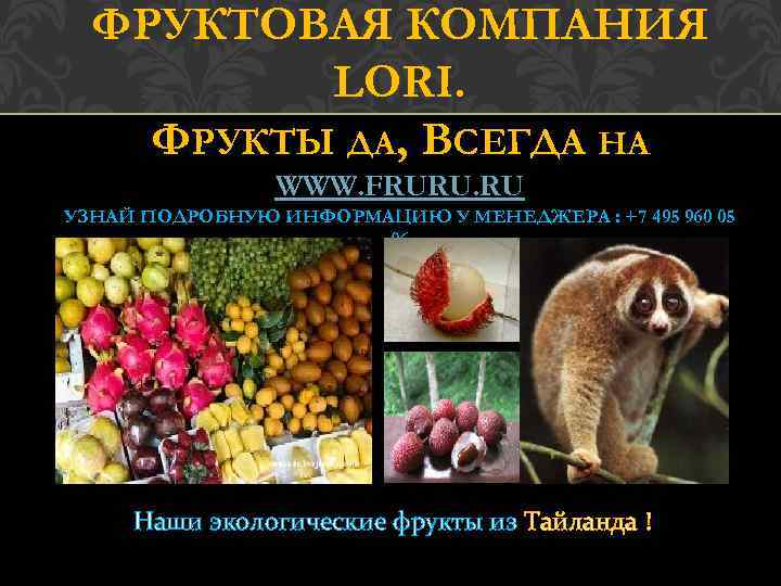 ФРУКТОВАЯ КОМПАНИЯ LORI. ФРУКТЫ ДА, ВСЕГДА НА WWW. FRURU. RU УЗНАЙ ПОДРОБНУЮ ИНФОРМАЦИЮ У