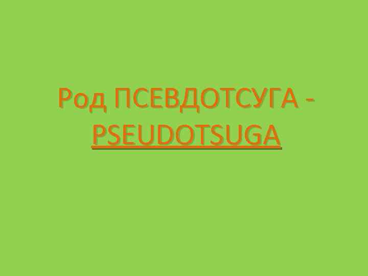 Род ПСЕВДОТСУГА PSEUDOTSUGA 