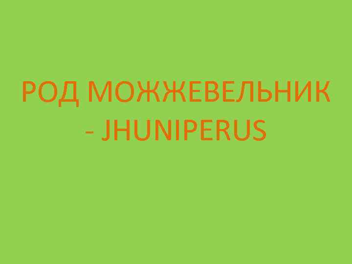 РОД МОЖЖЕВЕЛЬНИК - JHUNIPERUS 