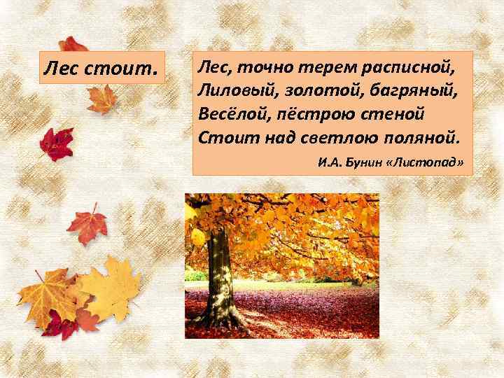 Лес стоит. Лес, точно терем расписной, Лиловый, золотой, багряный, Весёлой, пёстрою стеной Стоит над