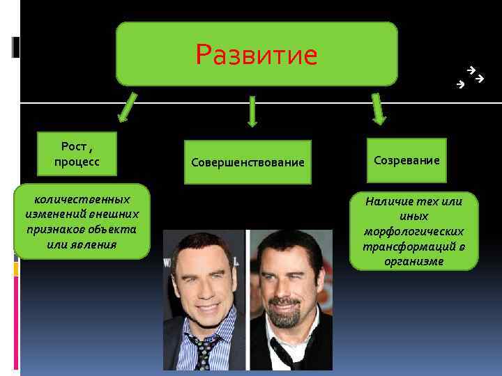 Развитие Рост , процесс количественных изменений внешних признаков объекта или явления Совершенствование Созревание Наличие