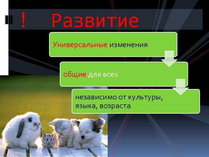 ! Развитие Универсальные изменения общие для всех независимо от культуры, языка, возраста 