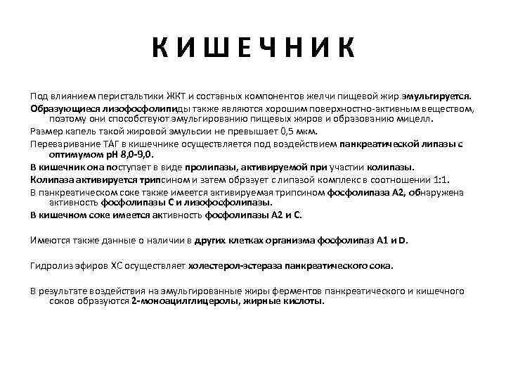 КИШЕЧНИК Под влиянием перистальтики ЖКТ и составных компонентов желчи пищевой жир эмульгируется. Образующиеся лизофосфолипиды