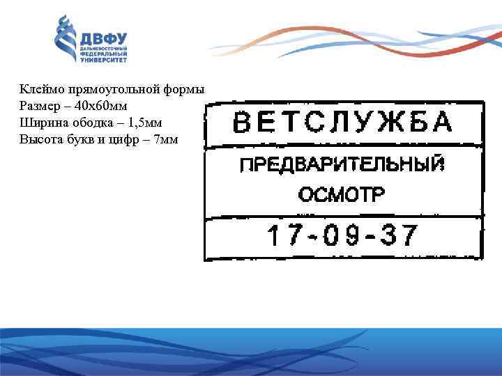 Клеймо прямоугольной формы Размер – 40 х60 мм Ширина ободка – 1, 5 мм