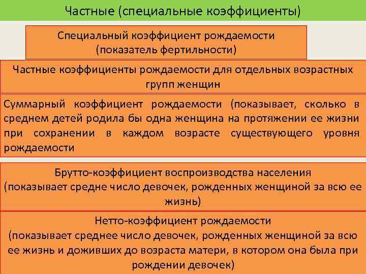 Частные (специальные коэффициенты) Специальный коэффициент рождаемости (показатель фертильности) Частные коэффициенты рождаемости для отдельных возрастных