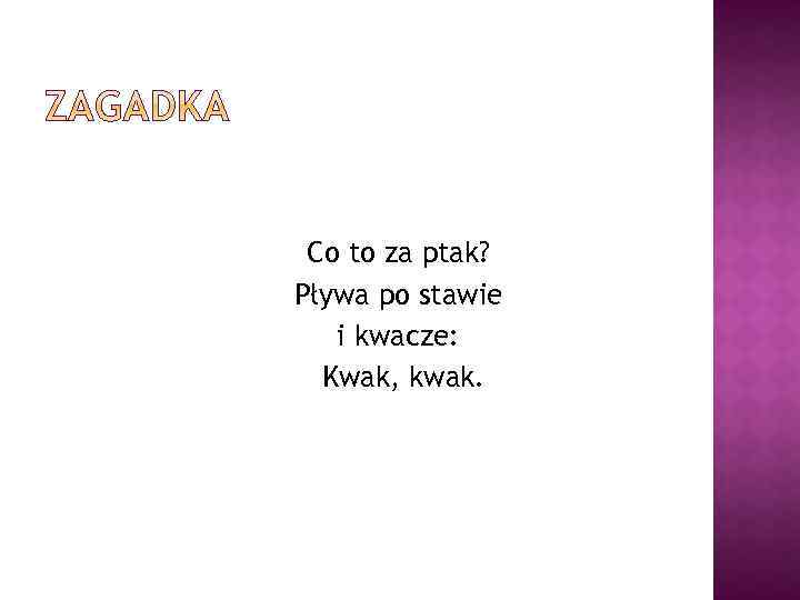 Co to za ptak? Pływa po stawie i kwacze: Kwak, kwak. 