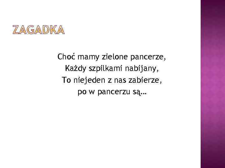 Choć mamy zielone pancerze, Każdy szpilkami nabijany, To niejeden z nas zabierze, po w