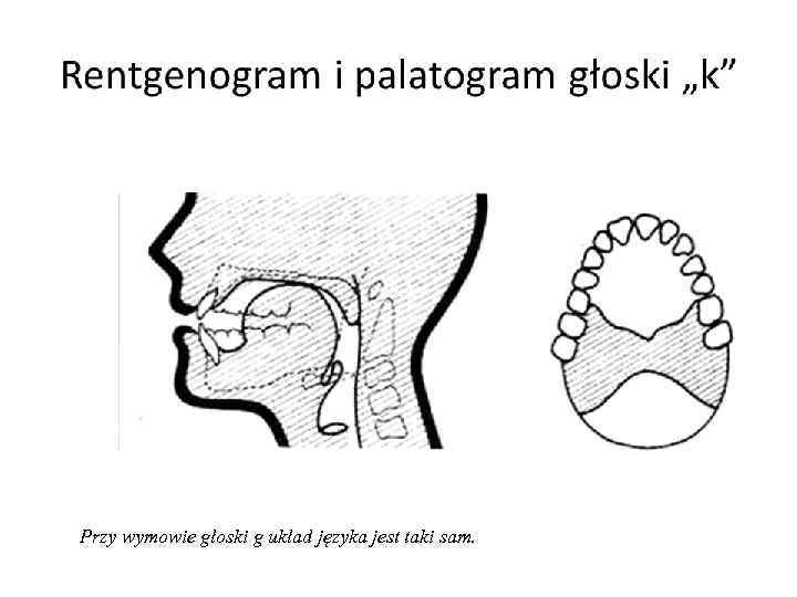 Przy wymowie głoski g układ języka jest taki sam. 