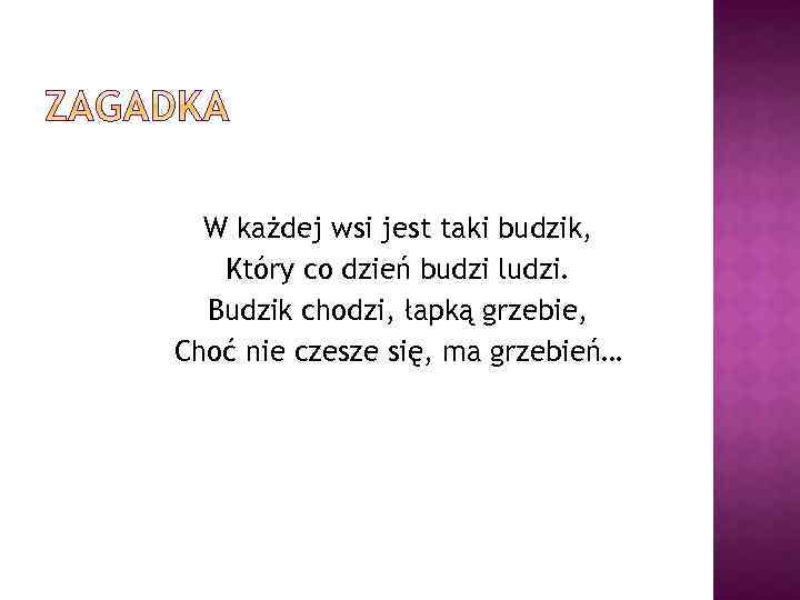 W każdej wsi jest taki budzik, Który co dzień budzi ludzi. Budzik chodzi, łapką