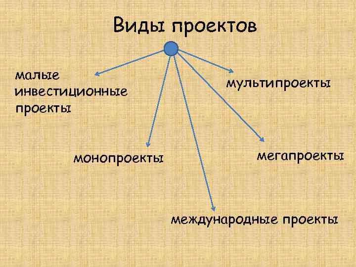 Виды проектов малые инвестиционные проекты монопроекты мультипроекты мегапроекты международные проекты 