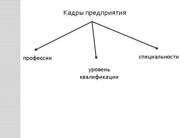 Кадры предприятия специальности профессии уровень квалификации 