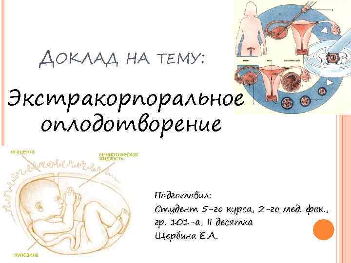 ДОКЛАД НА ТЕМУ: Экстракорпоральное оплодотворение Подготовил: Студент 5 -го курса, 2 -го мед. фак.