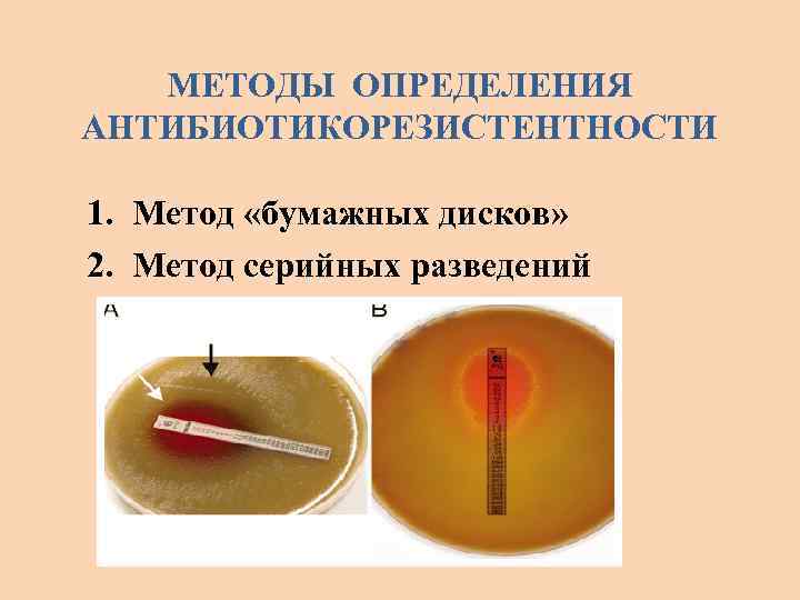 МЕТОДЫ ОПРЕДЕЛЕНИЯ АНТИБИОТИКОРЕЗИСТЕНТНОСТИ 1. Метод «бумажных дисков» 2. Метод серийных разведений 