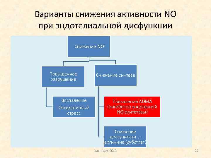 Варианты снижения активности NO при эндотелиальной дисфункции Снижение NO Повышенное разрушение Воспаление Оксидативный стресс