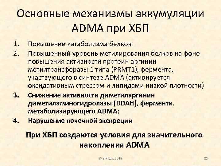 Основные механизмы аккумуляции ADMA при ХБП 1. 2. 3. 4. Повышение катаболизма белков Повышенный