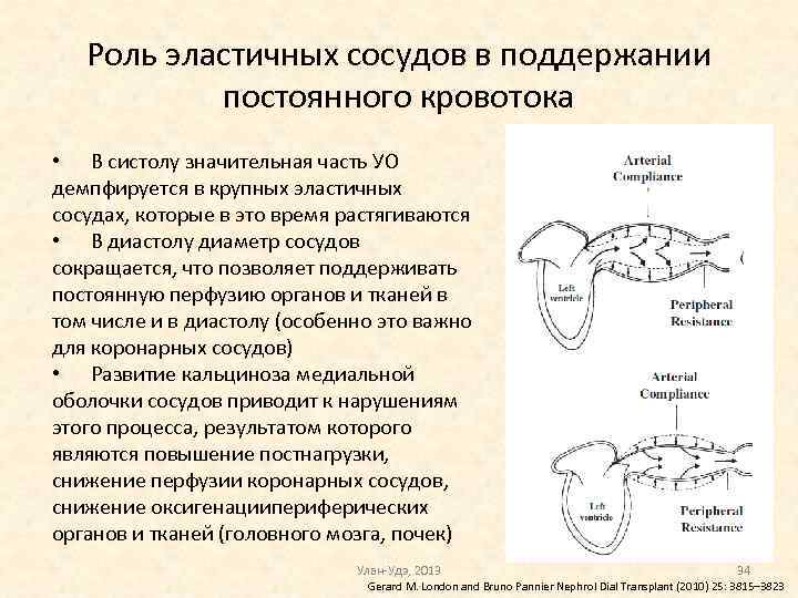 Роль эластичных сосудов в поддержании постоянного кровотока • В систолу значительная часть УО демпфируется