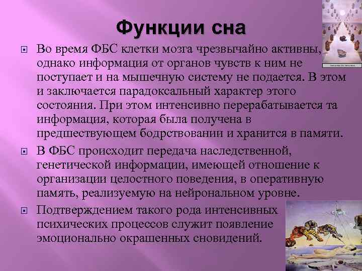 Функции сна Во время ФБС клетки мозга чрезвычайно активны, однако информация от органов чувств