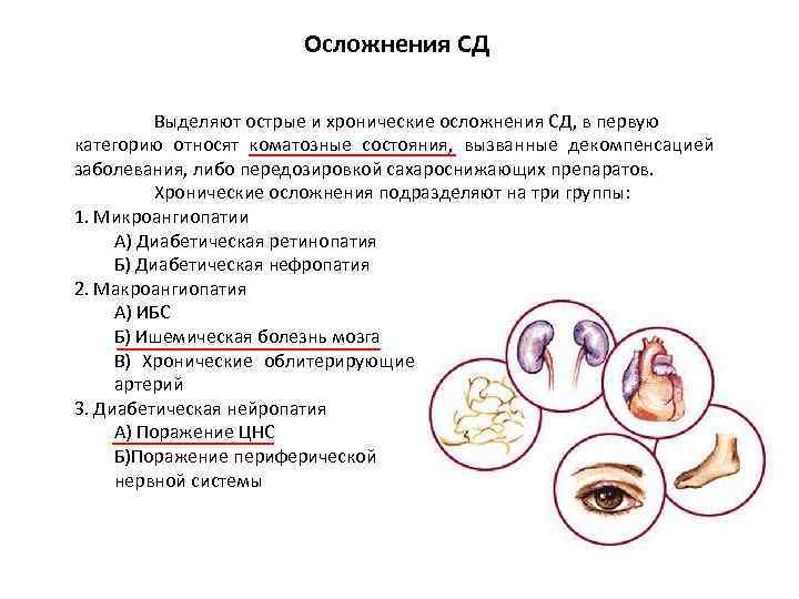Осложнения СД Выделяют острые и хронические осложнения СД, в первую категорию относят коматозные состояния,