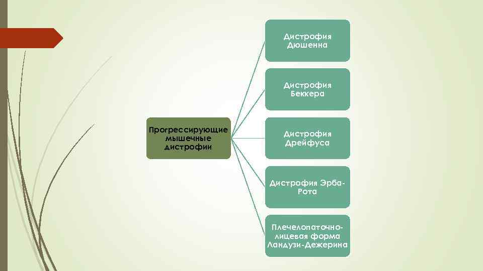 Дистрофия Дюшенна Дистрофия Беккера Прогрессирующие мышечные дистрофии Дистрофия Дрейфуса Дистрофия Эрба Рота Плечелопаточно лицевая