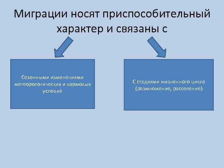 Планирование апгрейда и миграции сервера презентация