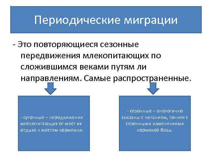 Виды миграции животных схема