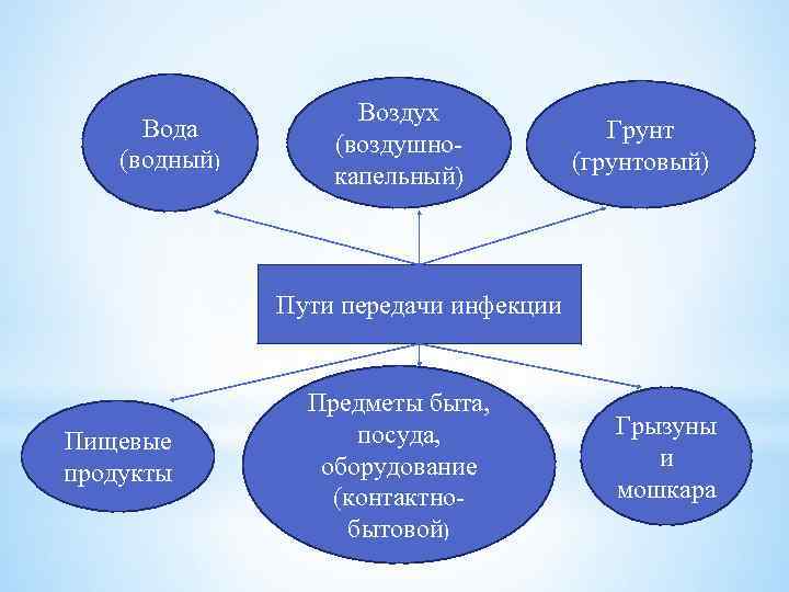 Вода (водный) Воздух (воздушнокапельный) Грунт (грунтовый) Пути передачи инфекции Пищевые продукты Предметы быта, посуда,