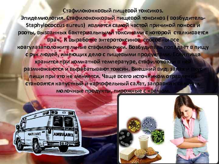 Стафилококковый пищевой токсикоз. Эпидемиология. Стафилококковый пищевой токсикоз ( возбудитель. Staphylococcus aureus) является самой частой