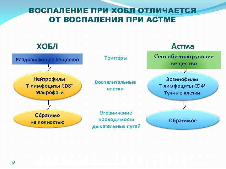 ВОСПАЛЕНИЕ ПРИ ХОБЛ ОТЛИЧАЕТСЯ ОТ ВОСПАЛЕНИЯ ПРИ АСТМЕ Астма ХОБЛ Раздражающее вещество Нейтрофилы Т-лимфоциты