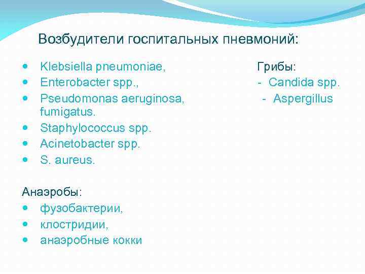 Возбудители госпитальных пневмоний: Klebsiella pneumoniae, Enterobacter spp. , Pseudomonas aeruginosa, fumigatus. Staphylococcus spp. Acinetobacter