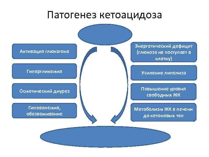 Патогенез кетоацидоза Активация глюкагона Энергетический дефицит (глюкоза не поступает в клетку) Гипергликемия Усиление липолиза