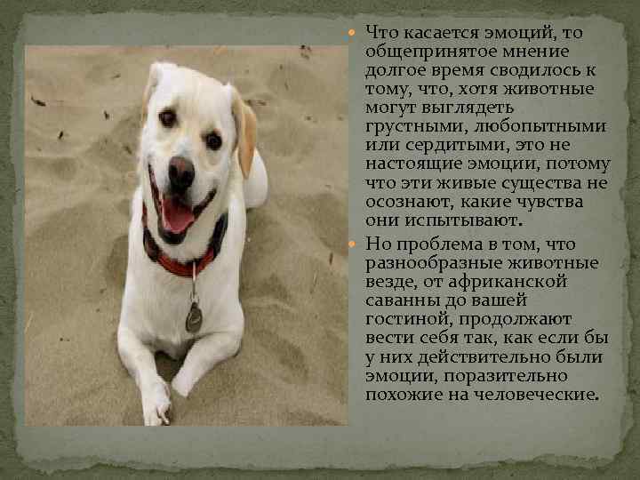  Что касается эмоций, то общепринятое мнение долгое время сводилось к тому, что, хотя