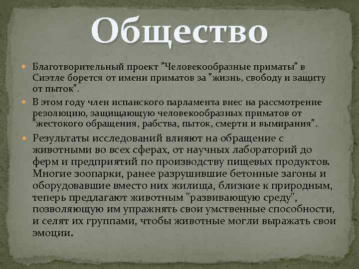 Общество Благотворительный проект 