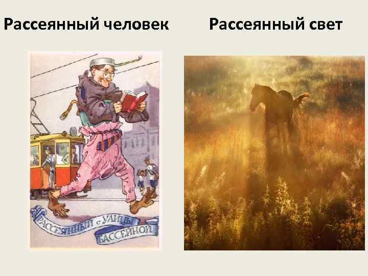 Рассеянный человек Рассеянный свет 