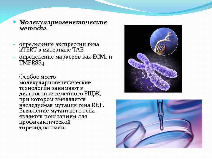  Молекулярногенетические методы. – определение экспрессии гена h. TERT в материале ТАБ – определение