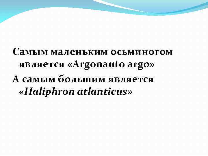 Самым маленьким осьминогом является «Argonauto argo» А самым большим является «Haliphron atlanticus» 